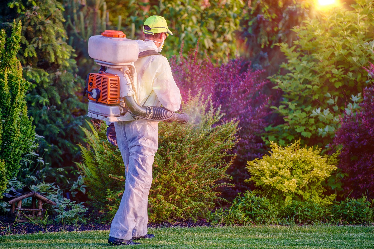 man spraying dormant oil to the trees