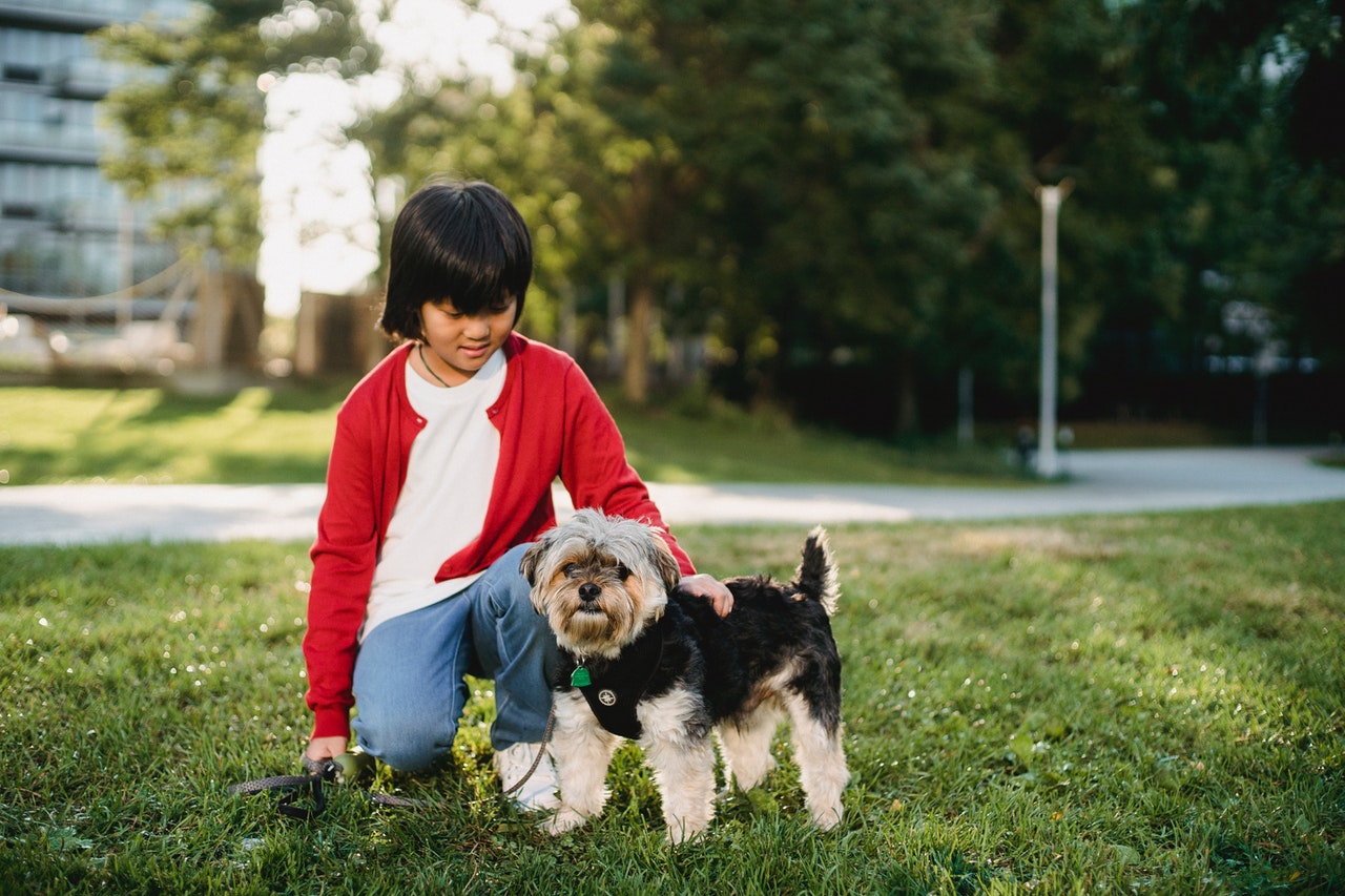 child and dog