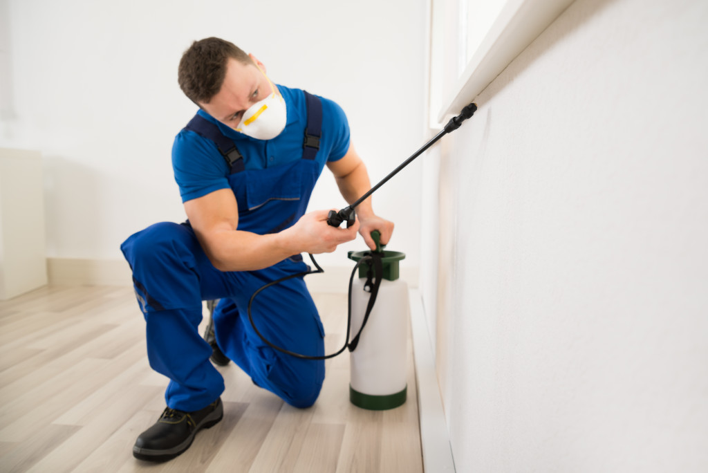 man spraying pesticide