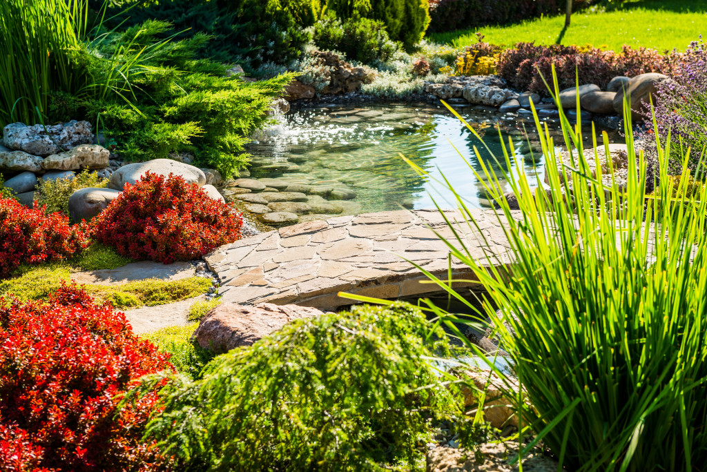 garden with a pond