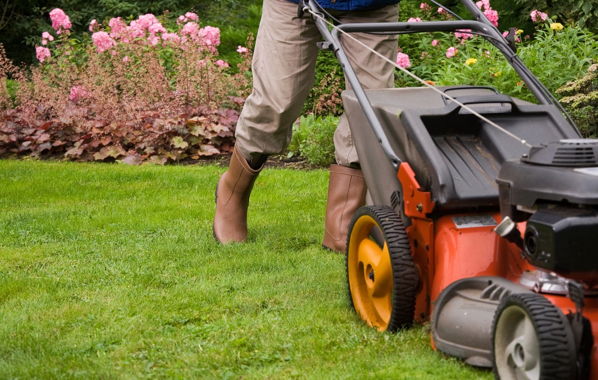 woman using a mower to mow the lawn