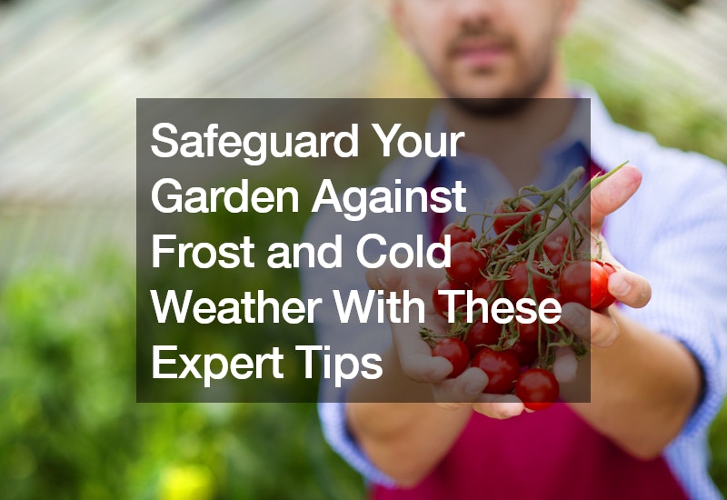 Safeguard Your Garden Against Frost and Cold Weather With These Expert Tips