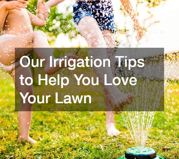 Our Irrigation Tips to Help You Love Your Lawn