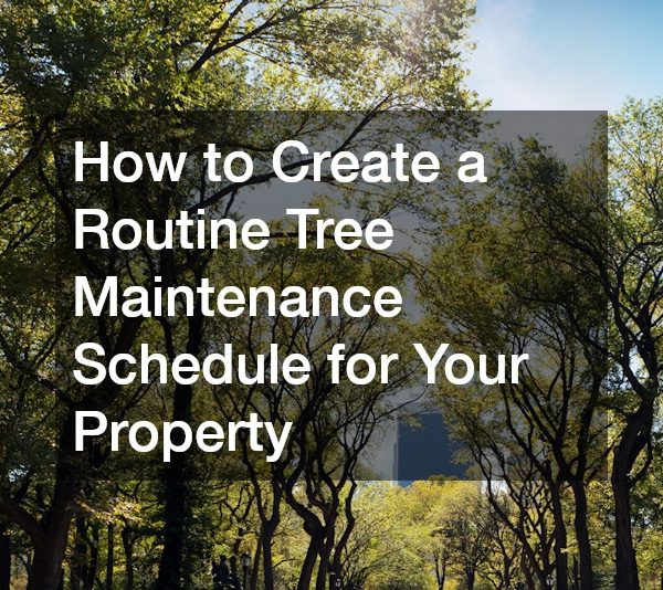 How to Create a Routine Tree Maintenance Schedule for Your Property