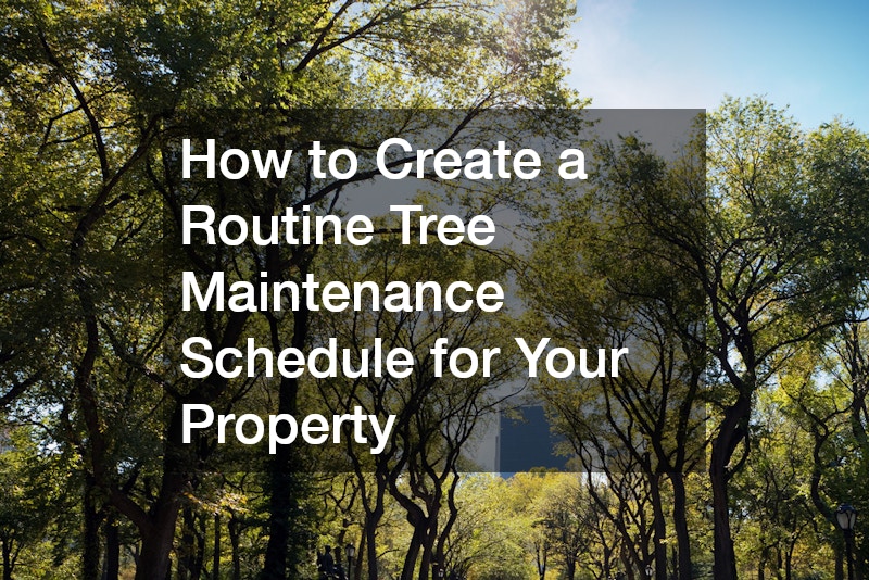 How to Create a Routine Tree Maintenance Schedule for Your Property