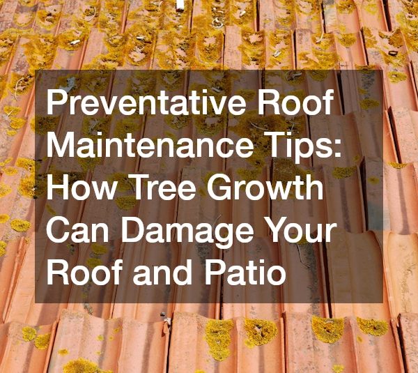 Preventative Roof Maintenance Tips: How Tree Growth Can Damage Your Roof and Patio